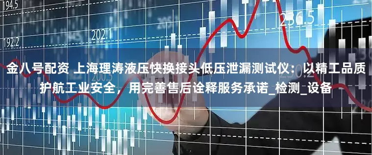 金八号配资 上海理涛液压快换接头低压泄漏测试仪：以精工品质护航工业安全，用完善售后诠释服务承诺_检测_设备