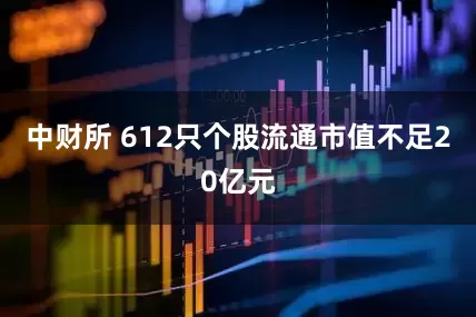 中财所 612只个股流通市值不足20亿元