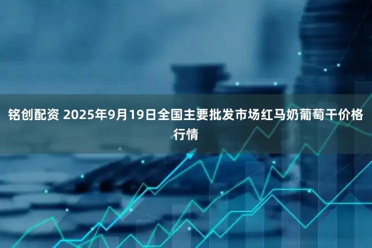 铭创配资 2025年9月19日全国主要批发市场红马奶葡萄干价格行情