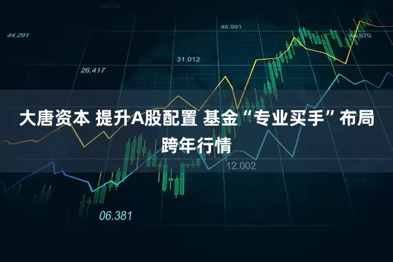 大唐资本 提升A股配置 基金“专业买手”布局跨年行情